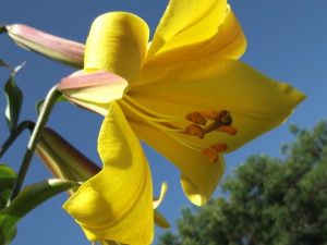 DSCF2406